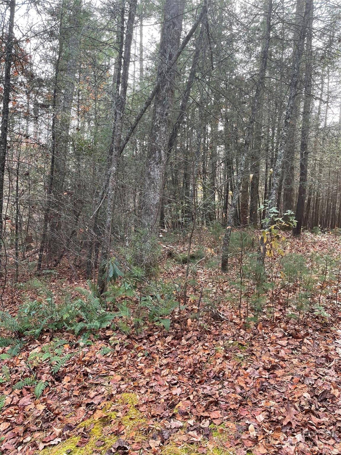 Lot at 50 Mountain Escape Drive, Zirconia, photo 3 of 4