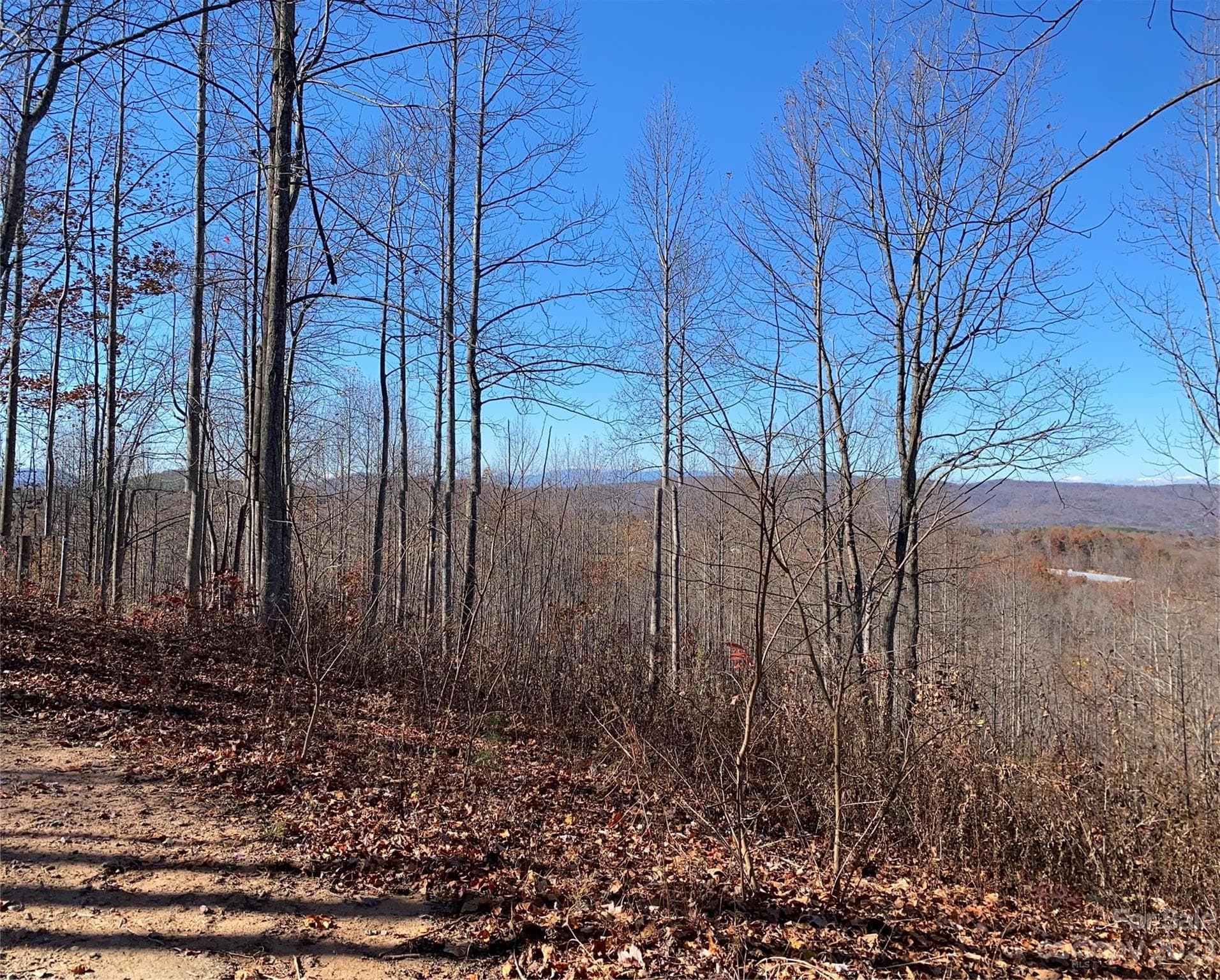 Lot at TBD Meditation Ridge Drive, Nebo, photo 5 of 15