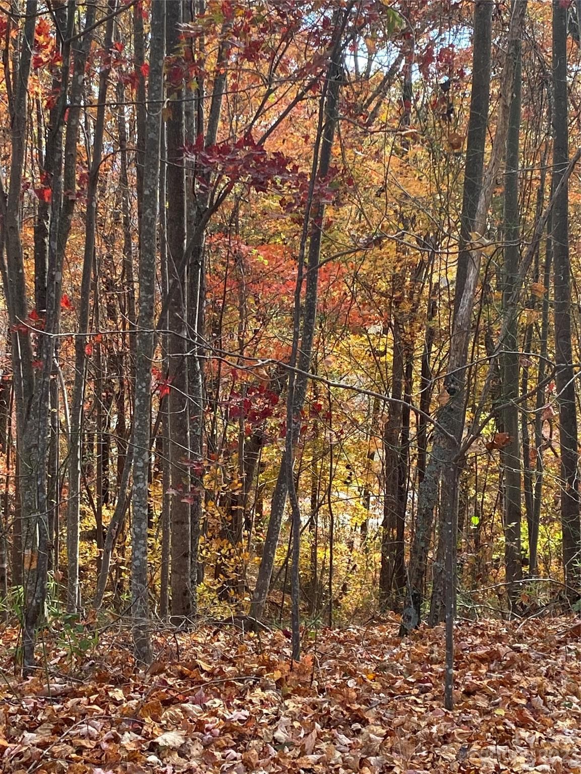 Lot at TBD Meditation Ridge Drive, Nebo, photo 12 of 15