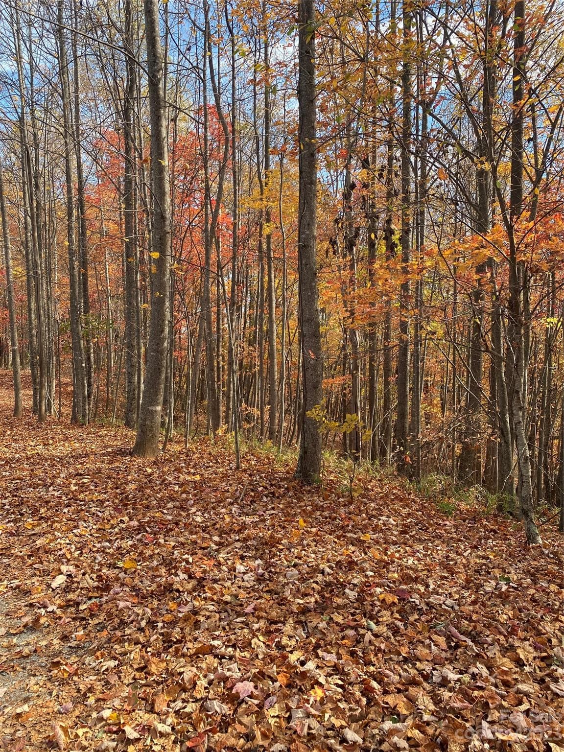 Lot at TBD Meditation Ridge Drive, Nebo, photo 13 of 15