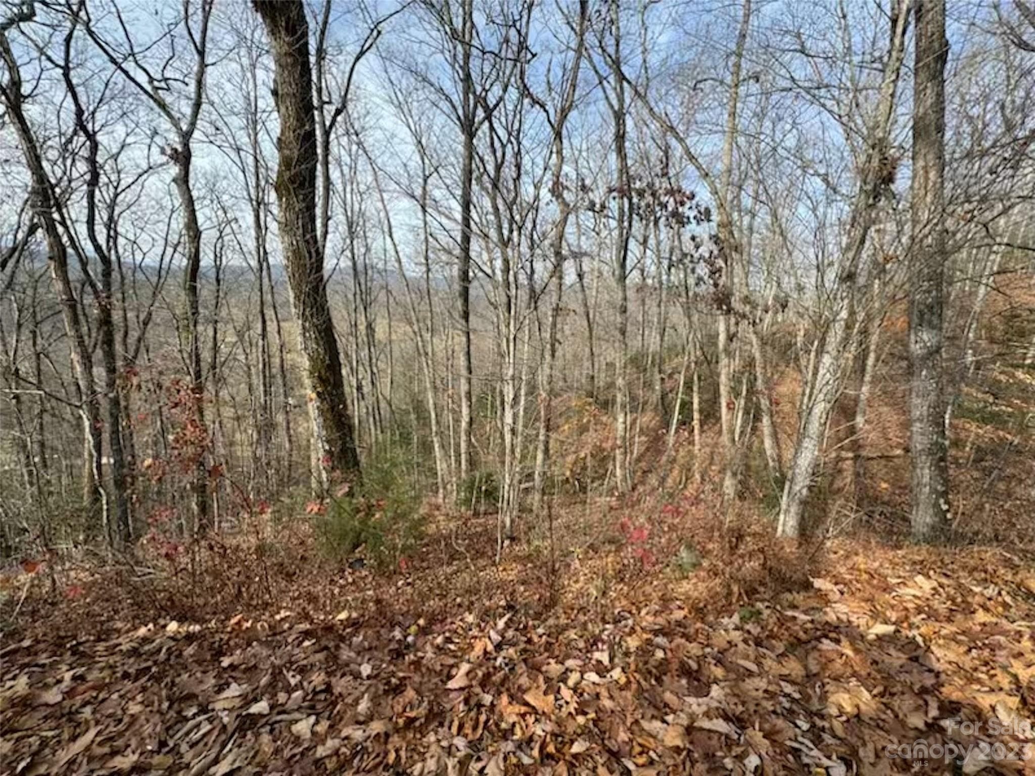 Lot at Lot 17 Franklin Farm Road, Franklin, photo 3 of 3