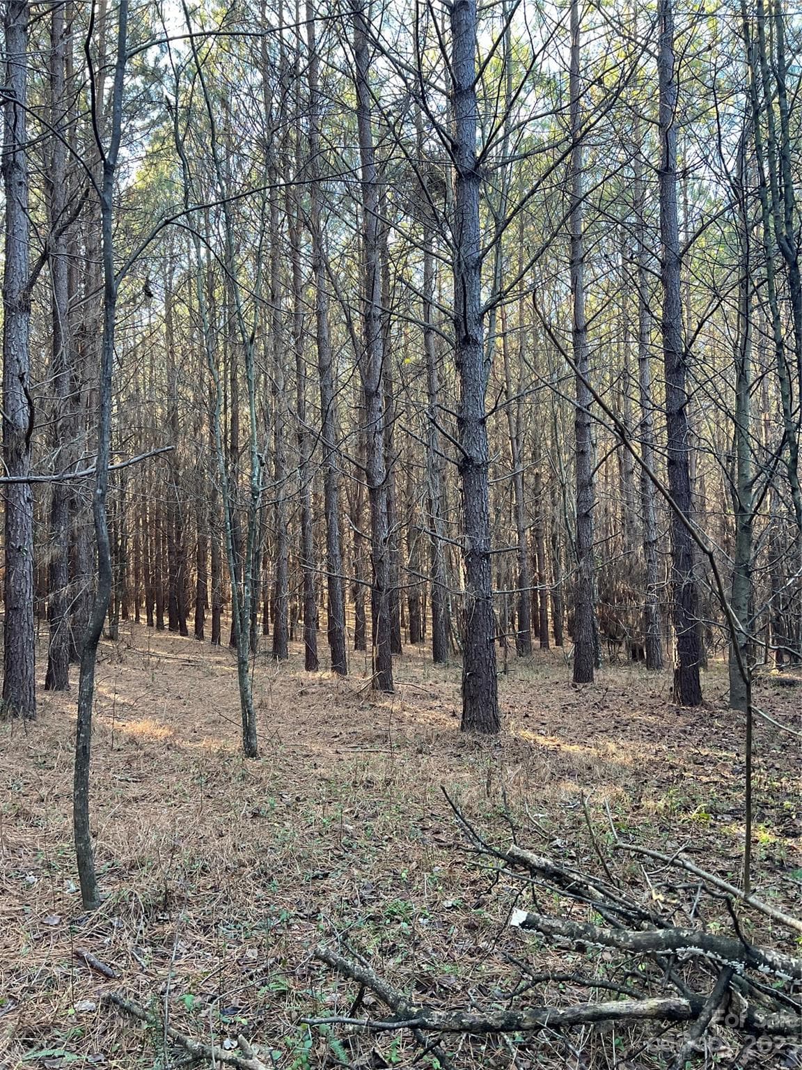 Acreage at Statesville, photo 28 of 36