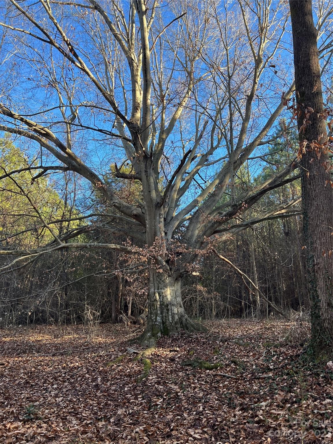 Acreage at Statesville, photo 29 of 36