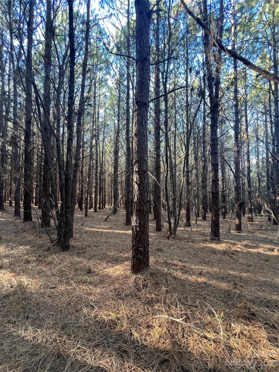 Acreage at Statesville, photo 33 of 36