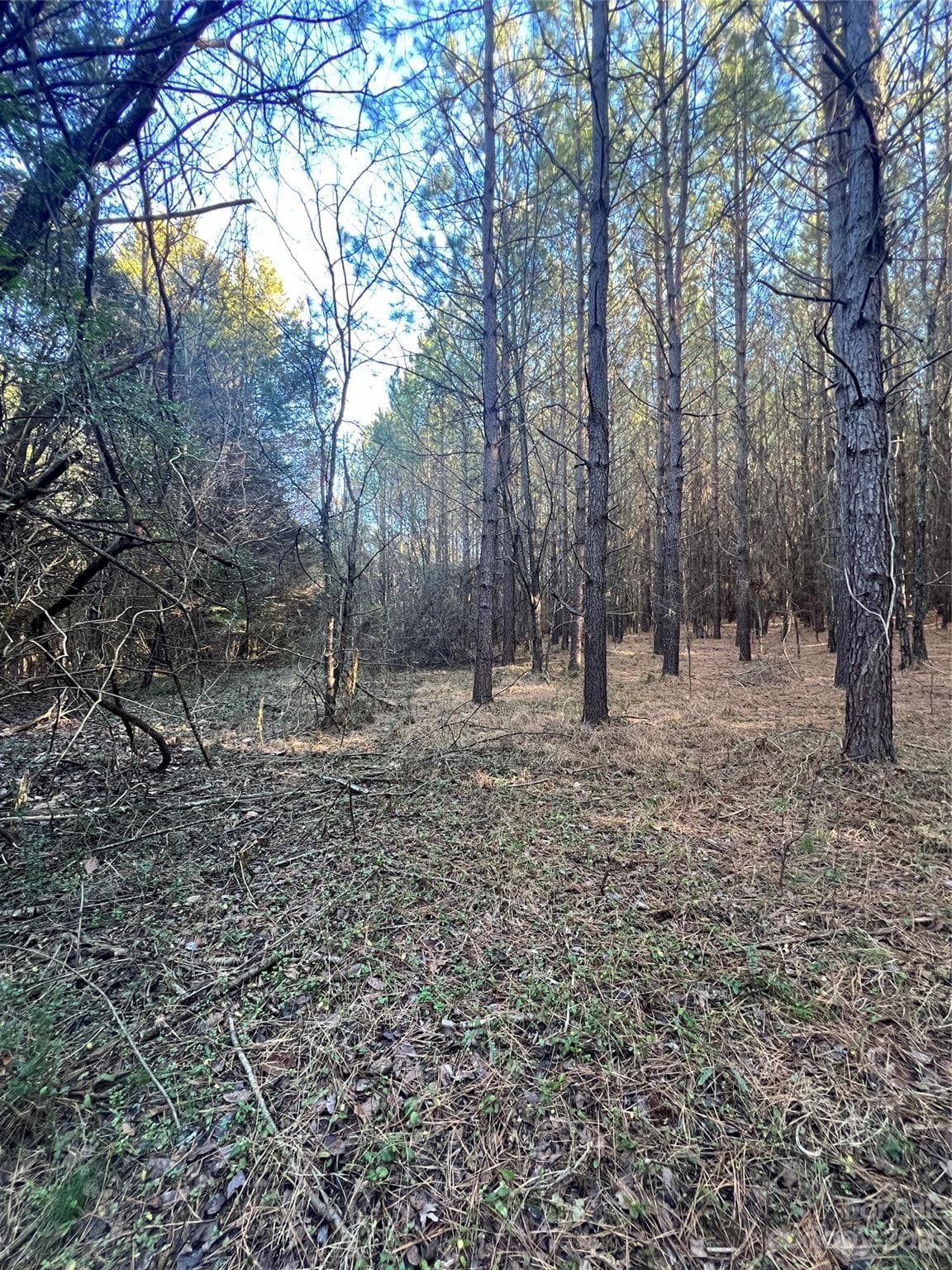 Acreage at Statesville, photo 35 of 36
