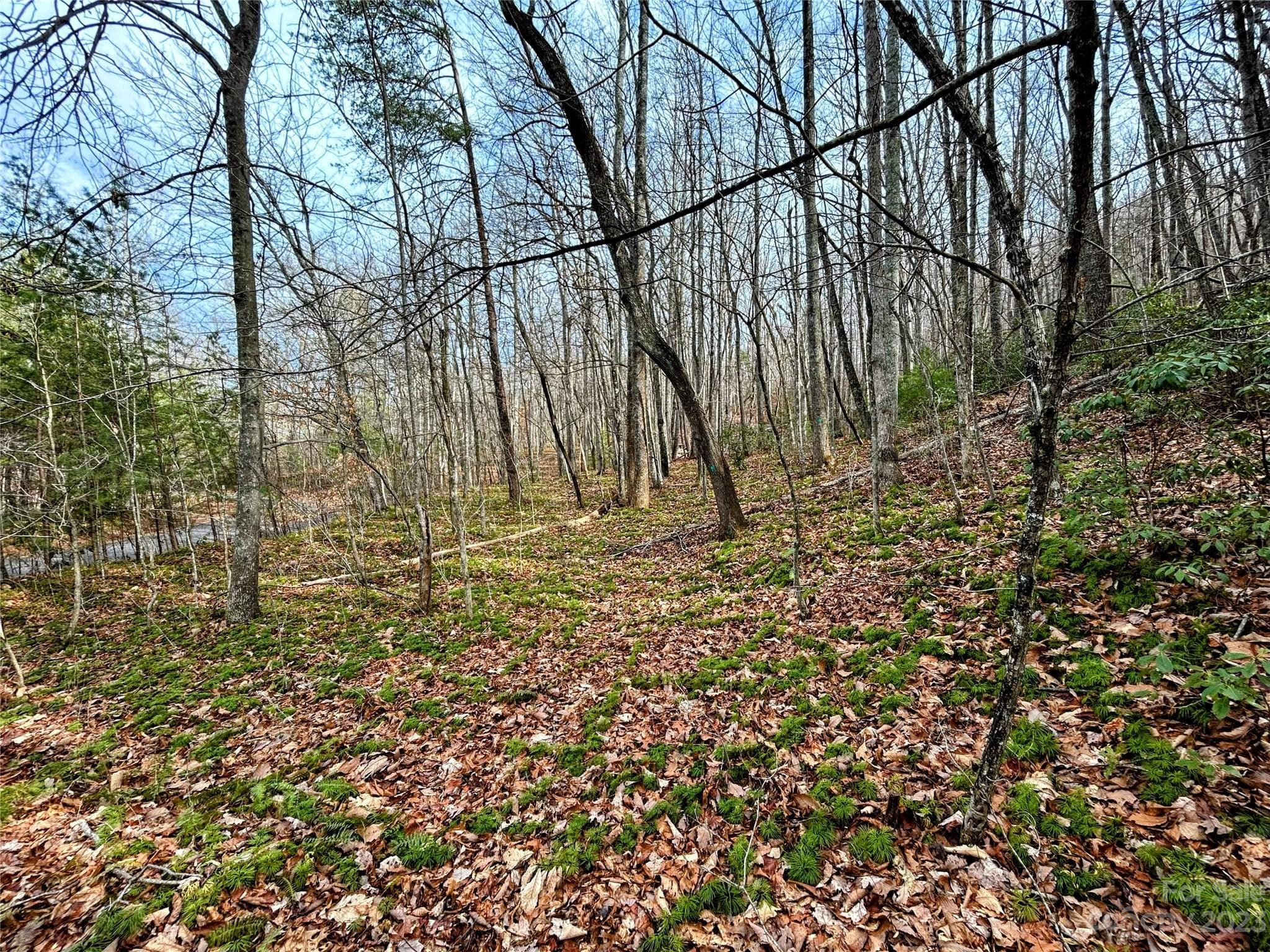 Lot 7 Azalea Way