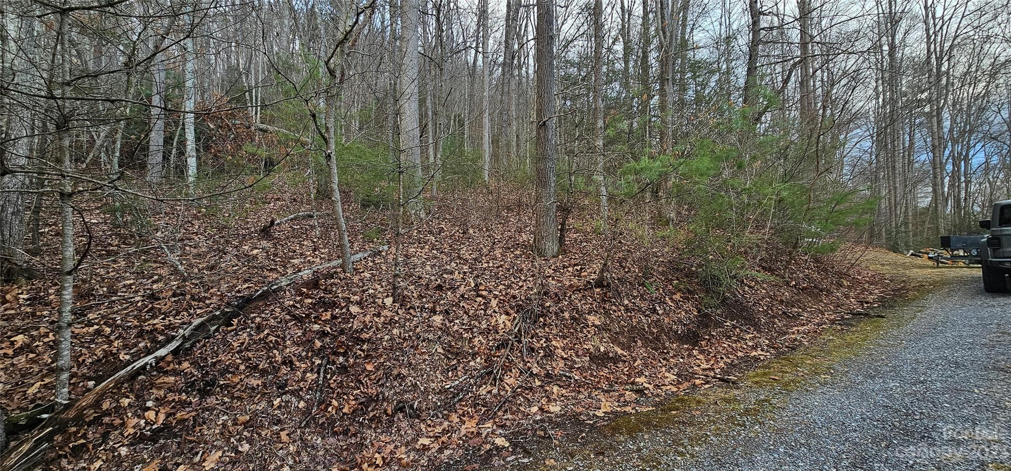 Lot at Waynesville, photo 2 of 48