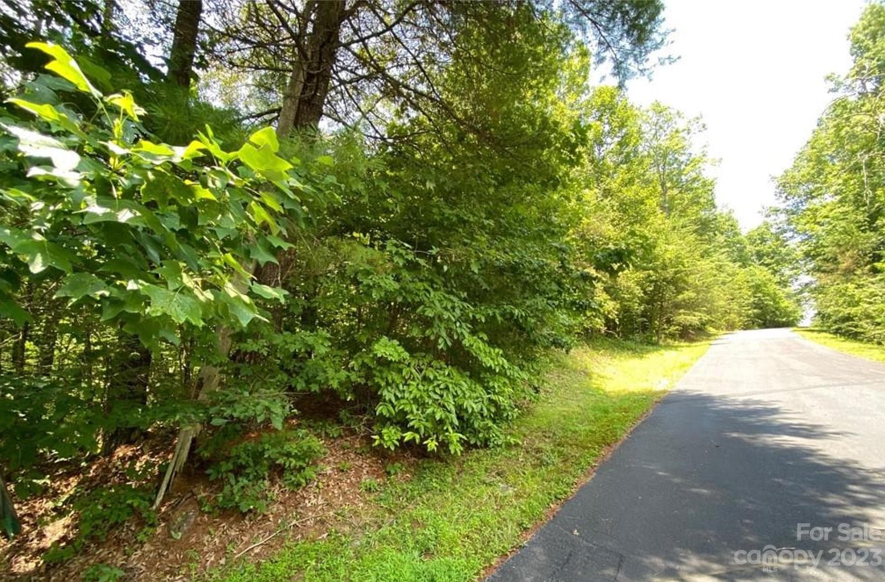 Lot at Hendersonville, photo 2 of 11