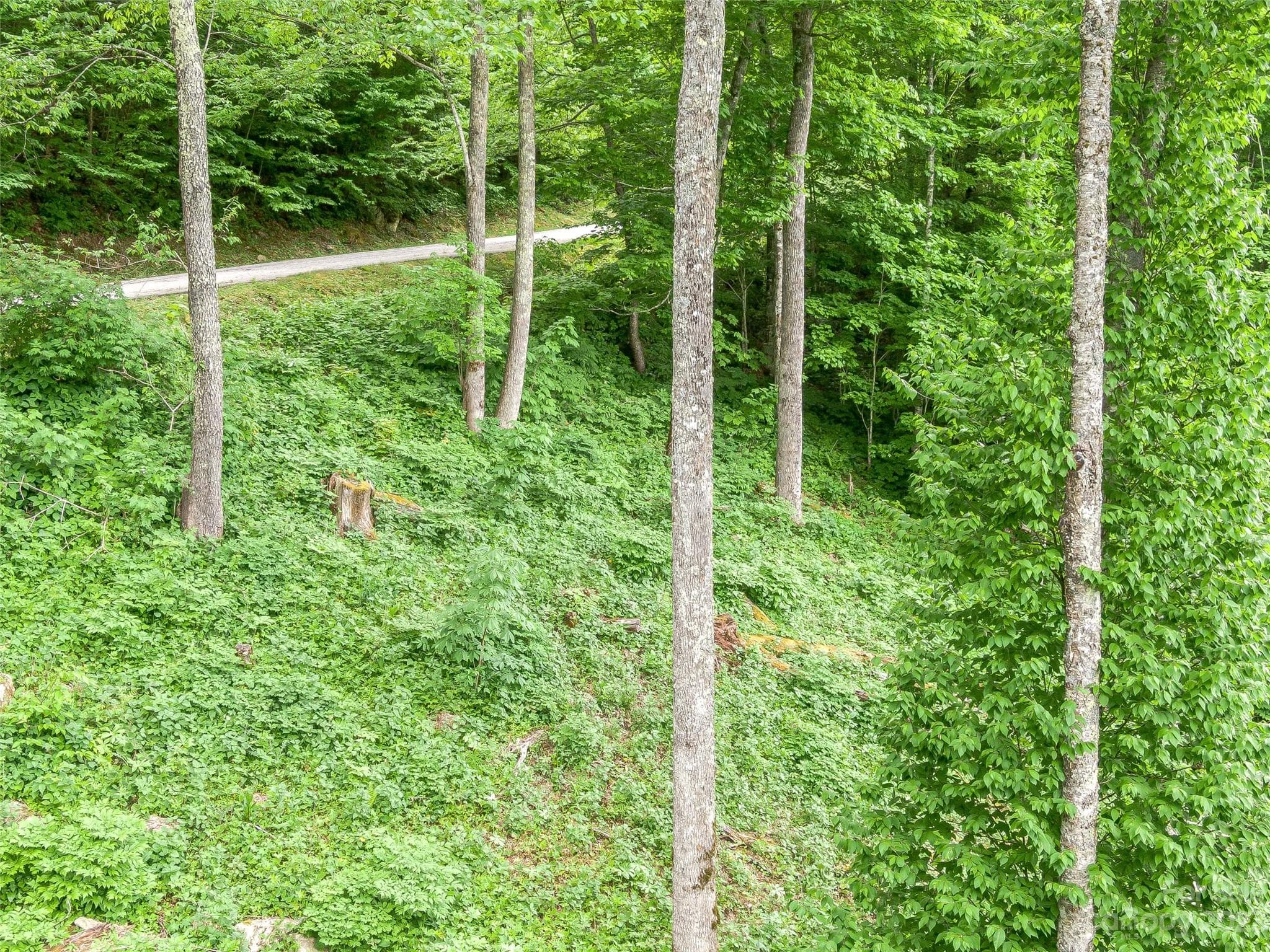 Lot at Mars Hill, photo 15 of 36