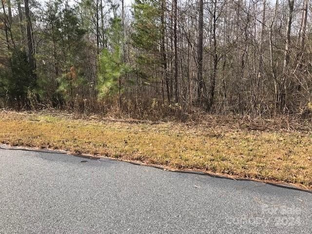 Lot at 00 Woodstock Lane, Rutherfordton, photo 5 of 10