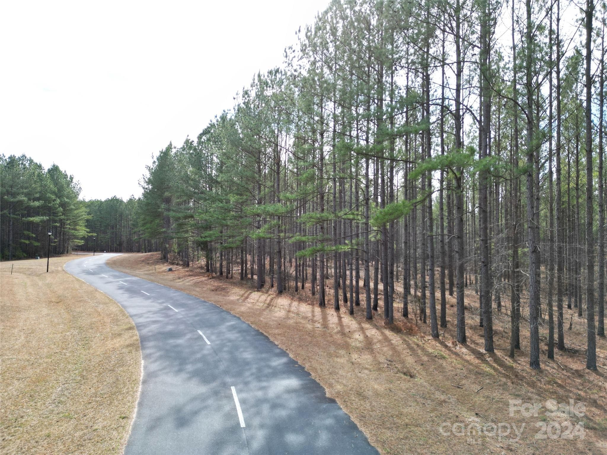 Lot at TBD Spencer Pointe Road, Lilesville, photo 4 of 16
