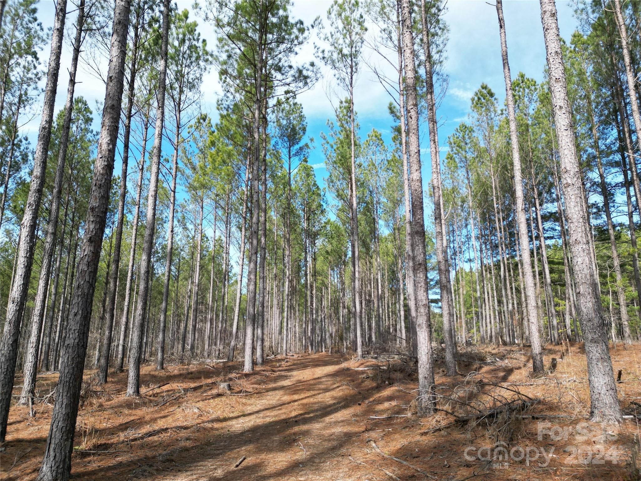 Lot at TBD Spencer Pointe Road, Lilesville, photo 5 of 16