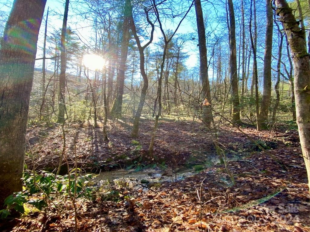 Acreage at L41 Abby Falls Road, Rosman, photo 2 of 19