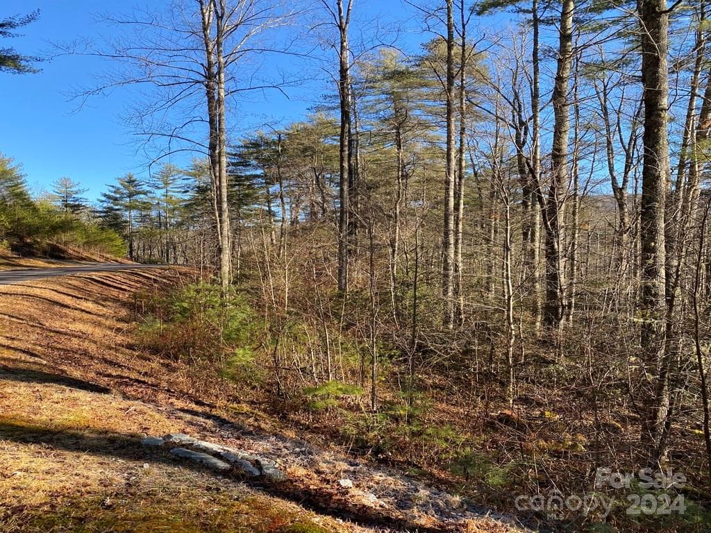 Acreage at L41 Abby Falls Road, Rosman, photo 3 of 19