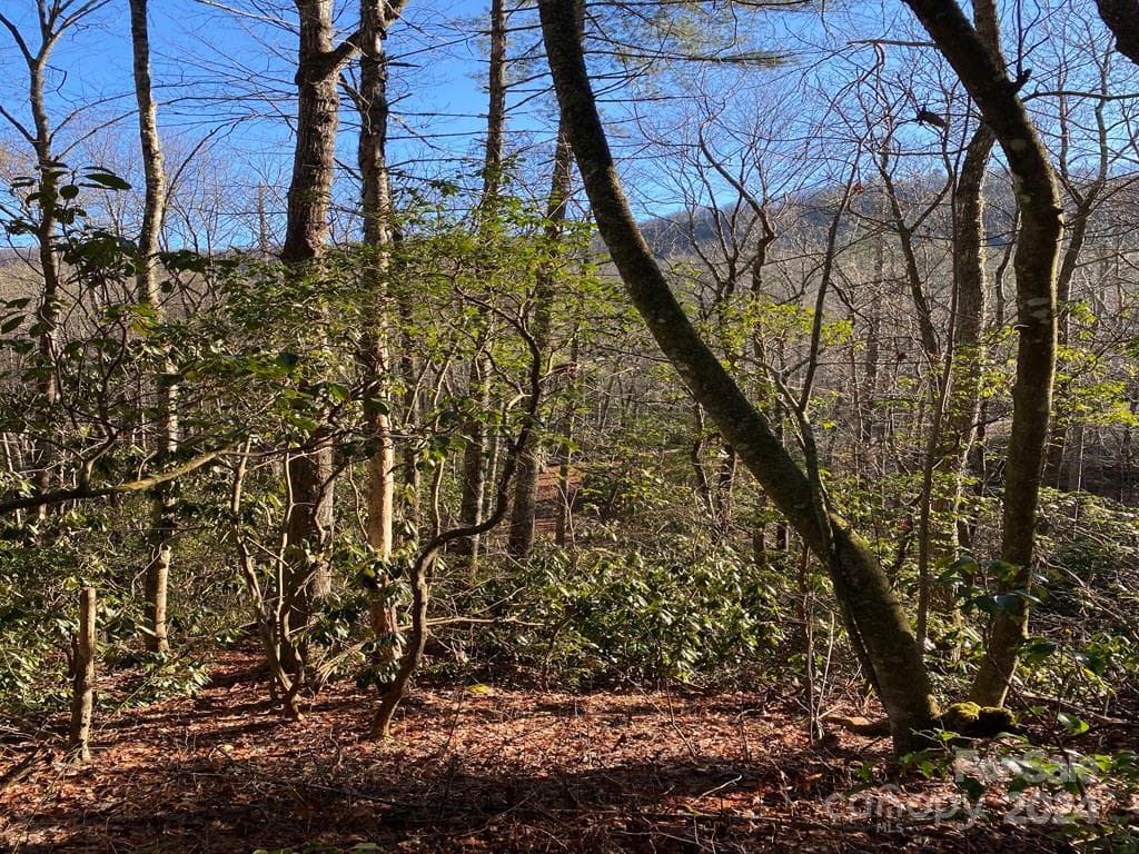 Acreage at L41 Abby Falls Road, Rosman, photo 4 of 19