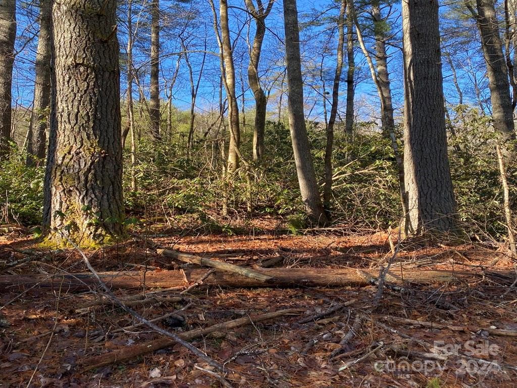 Acreage at L41 Abby Falls Road, Rosman, photo 5 of 19