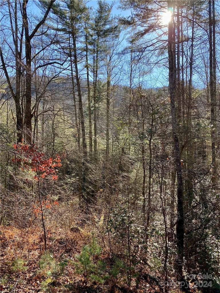Acreage at L41 Abby Falls Road, Rosman, photo 6 of 19