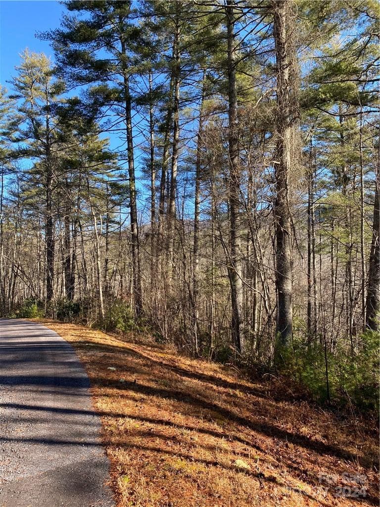 Acreage at L41 Abby Falls Road, Rosman, photo 7 of 19
