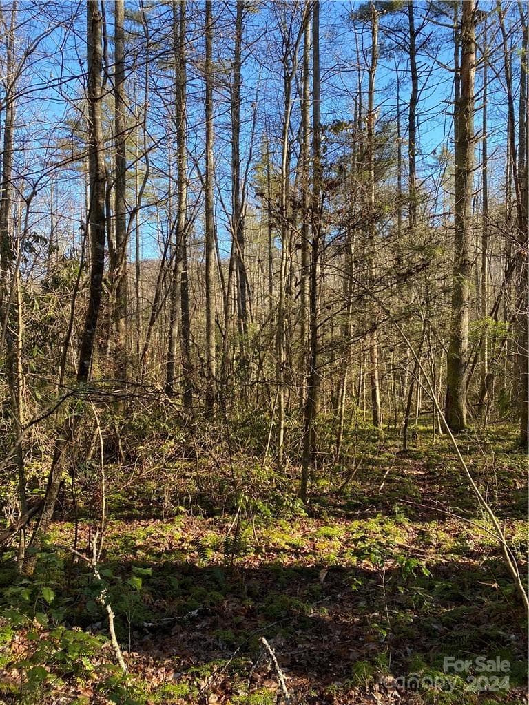 Acreage at L41 Abby Falls Road, Rosman, photo 10 of 19