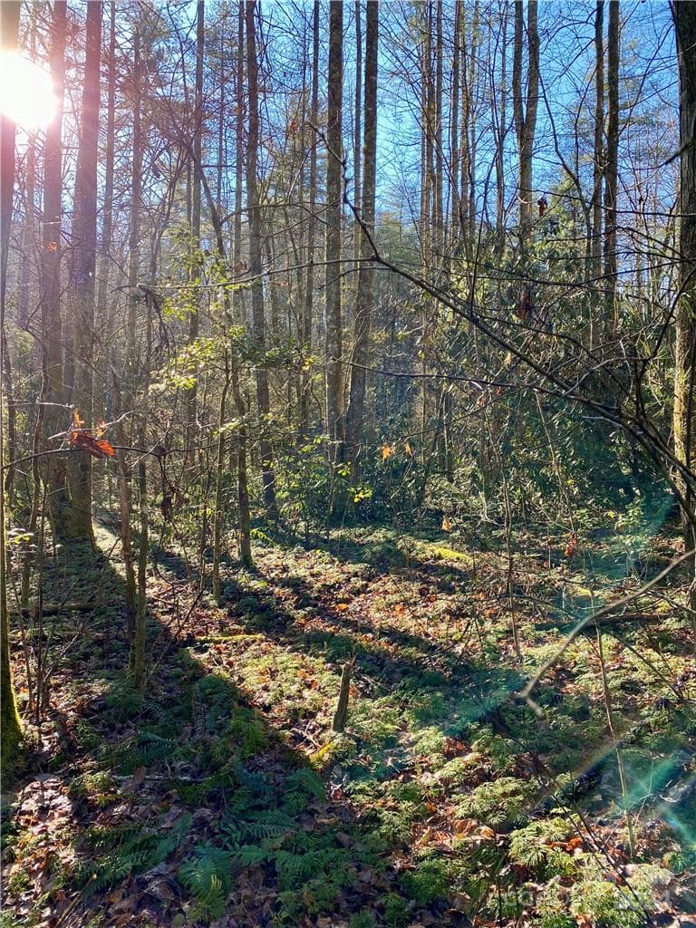 Acreage at L41 Abby Falls Road, Rosman, photo 11 of 19