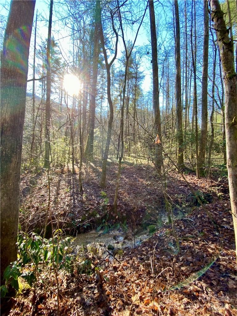 Acreage at L41 Abby Falls Road, Rosman, photo 12 of 19