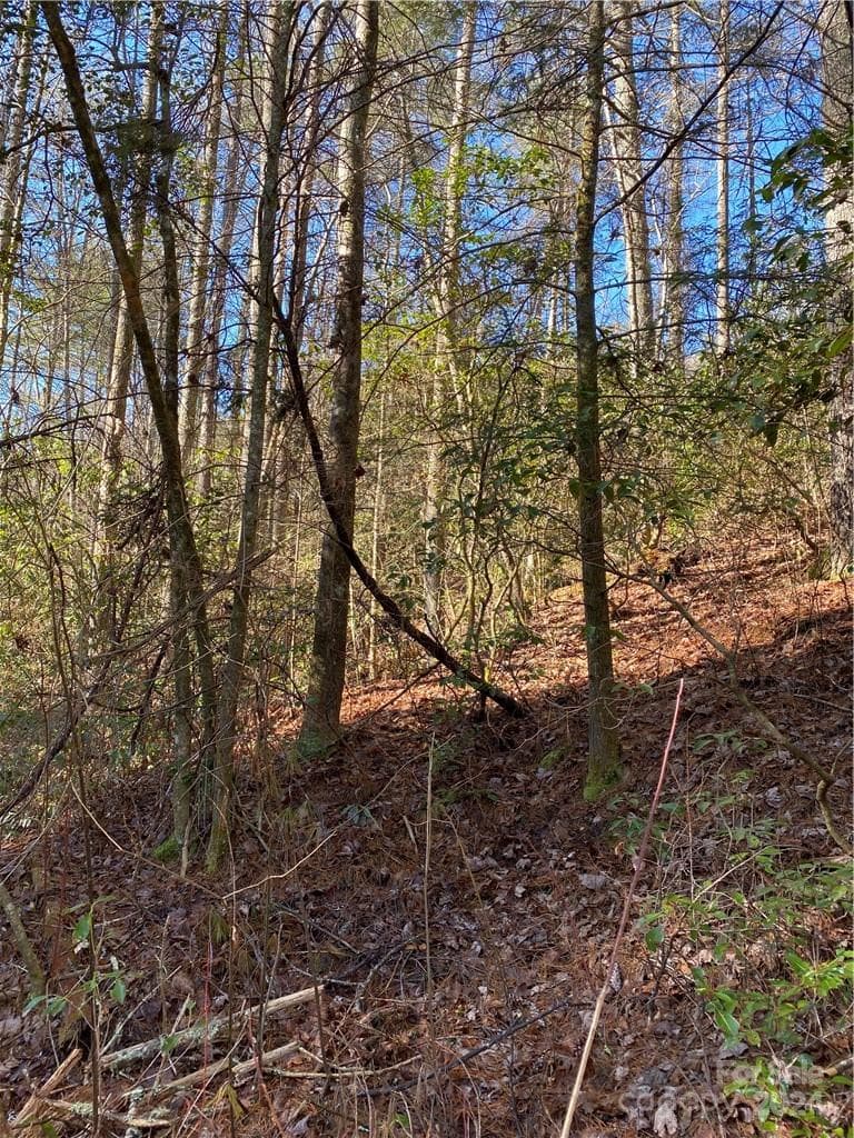 Acreage at L41 Abby Falls Road, Rosman, photo 13 of 19