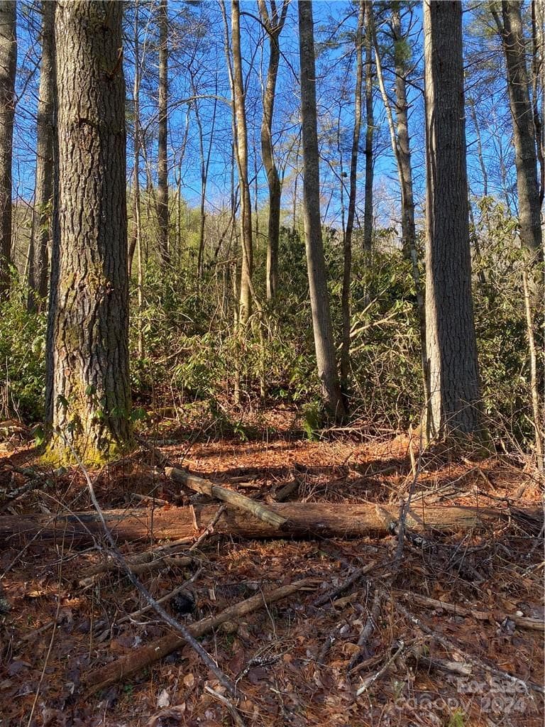 Acreage at L41 Abby Falls Road, Rosman, photo 14 of 19