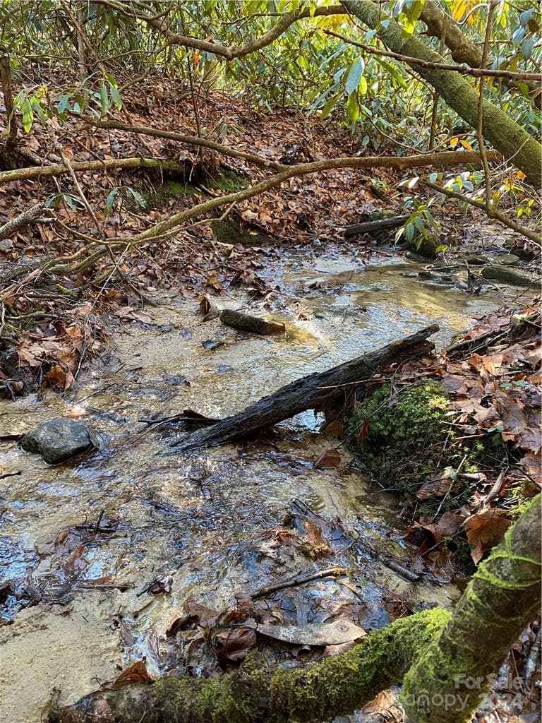 Acreage at L41 Abby Falls Road, Rosman, photo 15 of 19