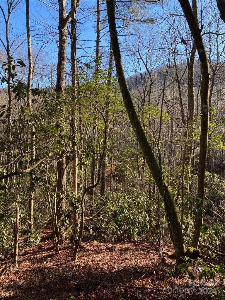 Acreage at L41 Abby Falls Road, Rosman, photo 17 of 19