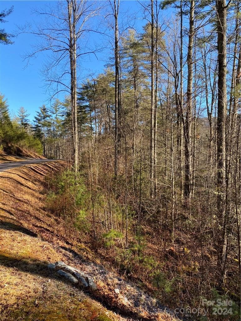 Acreage at L41 Abby Falls Road, Rosman, photo 19 of 19