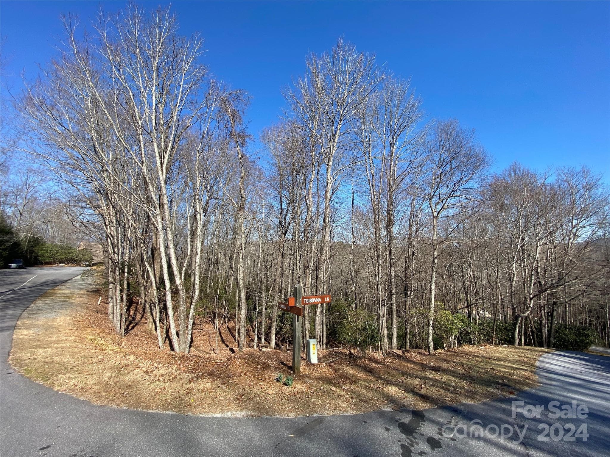 Some Winter Mountain Views - TBD Elaqua Court, Brevard
