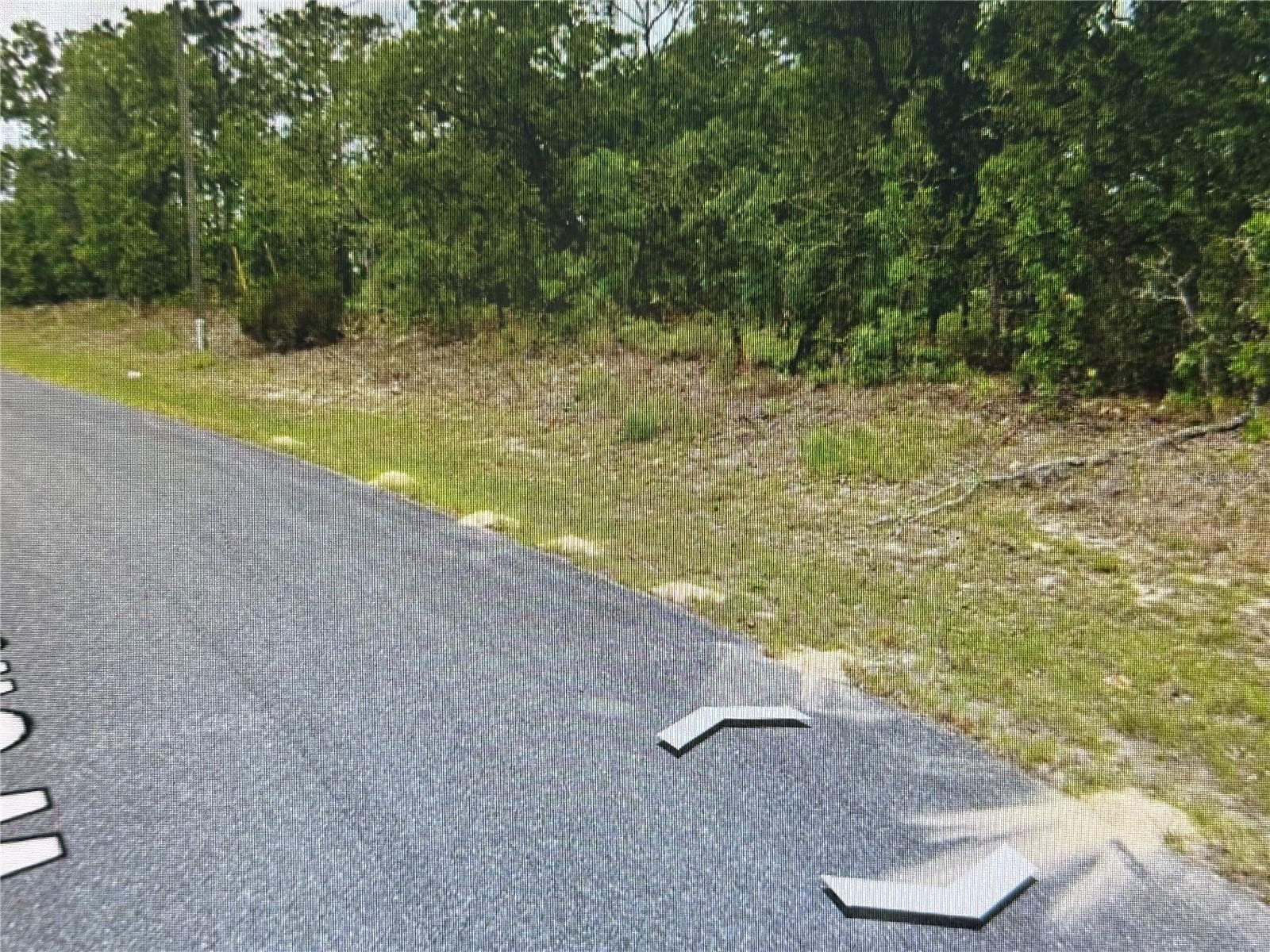 Land at 2466 W SWANSON DR, CITRUS SPRINGS, photo 6 of 21