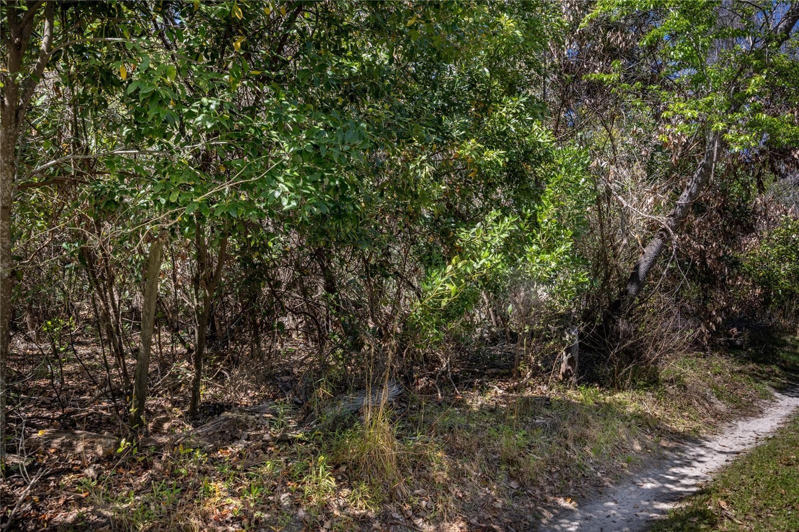 Land at NW 253RD ST, HIGH SPRINGS, photo 6 of 15