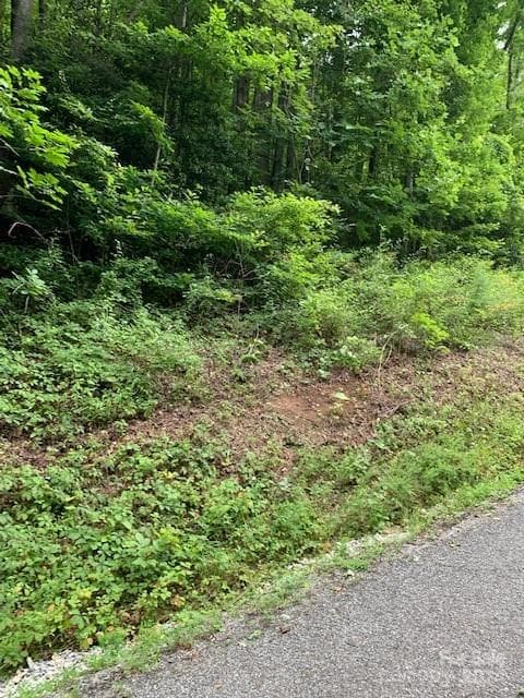 Wooded lot with paved road access - Lot 45-46 Mckenzie Way S, Old Fort