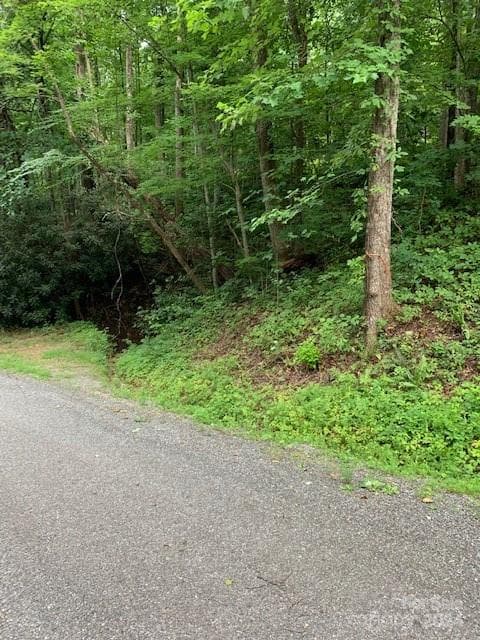 Wooded lot - Lot 45-46 Mckenzie Way S, Old Fort