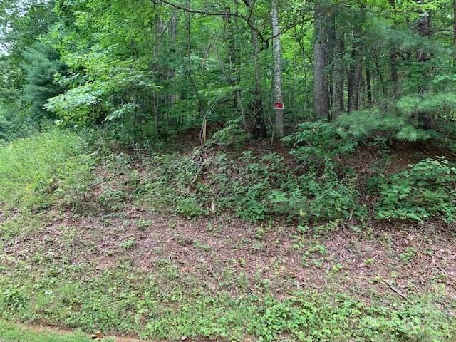 Lot at Lot 49-50 Mckenzie Way S, Old Fort, photo 2 of 9