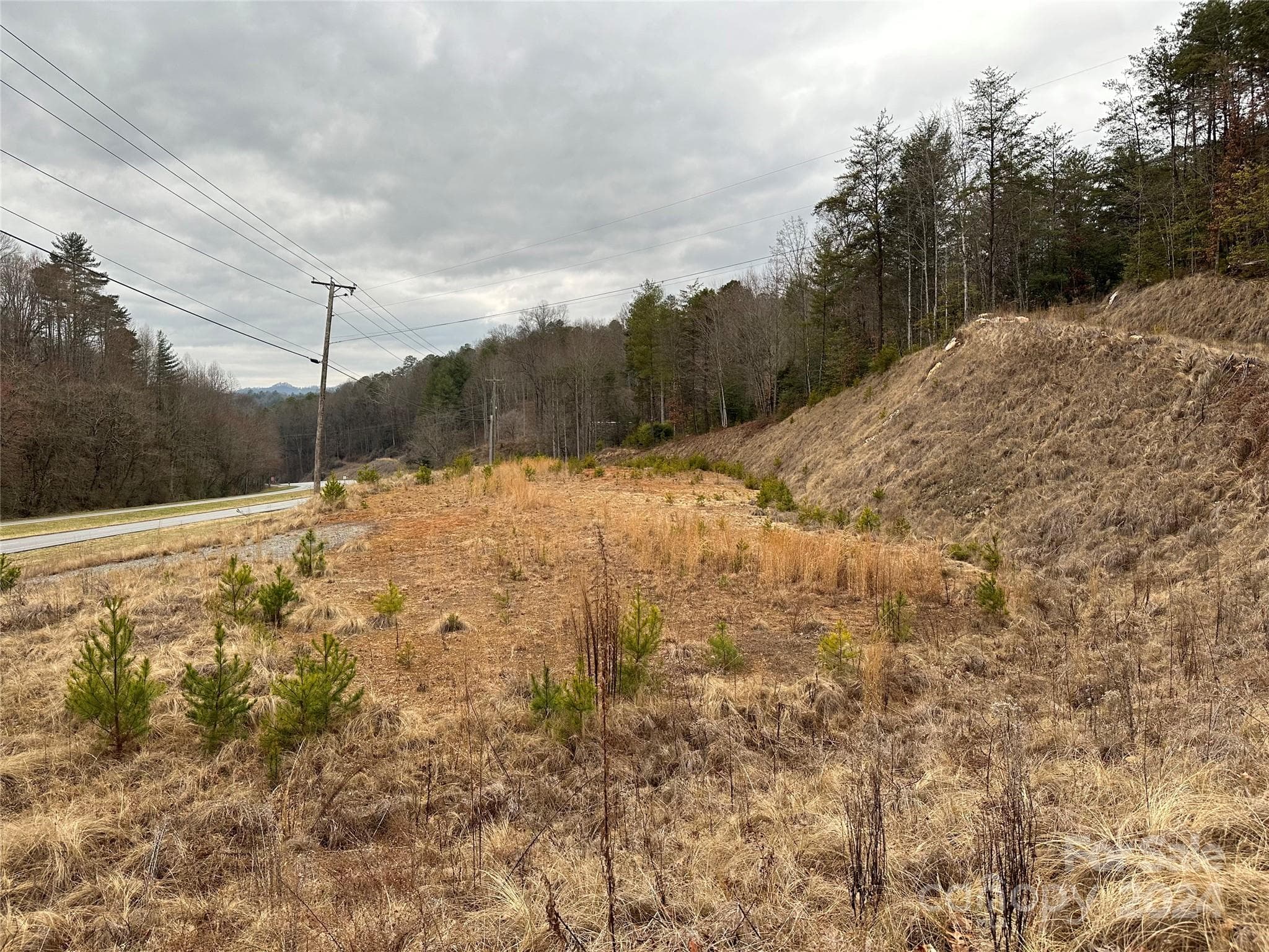 Unimproved Commercial at 000 Hwy 19 W Highway W, Bryson City, photo 6 of 12