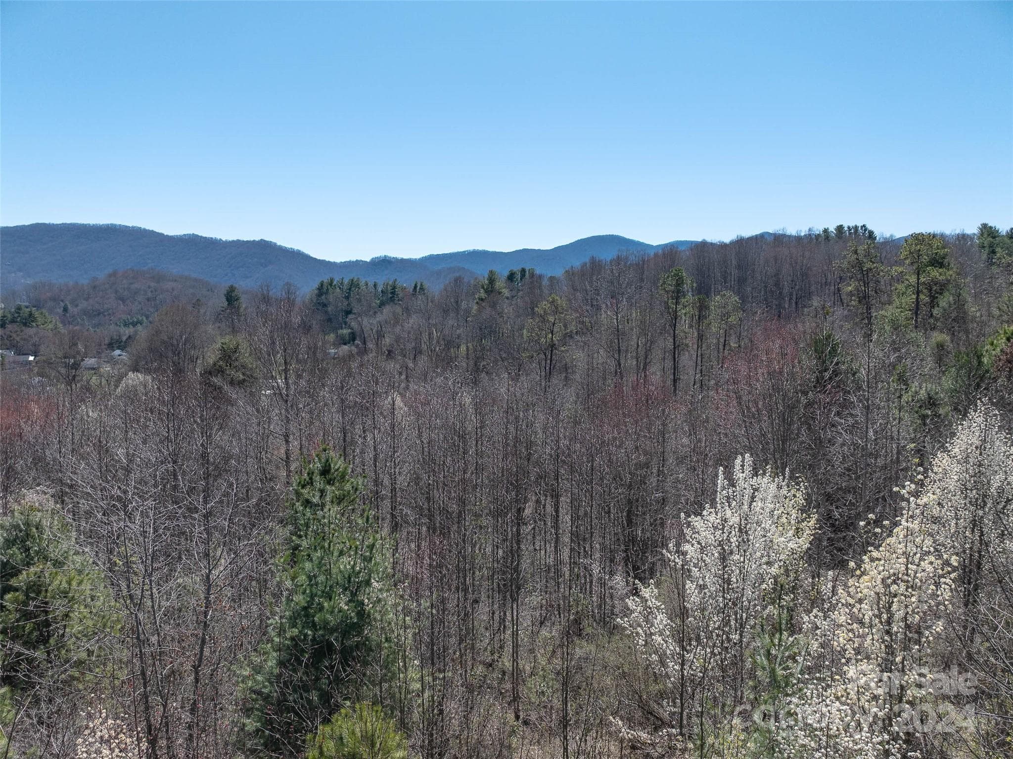 Acreage at Waynesville, photo 10 of 19