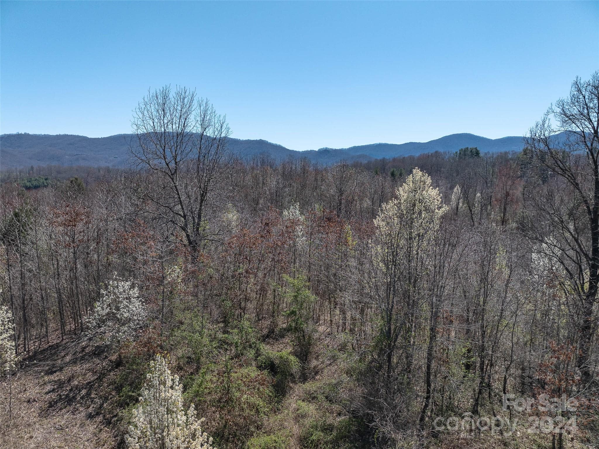 Acreage at Waynesville, photo 13 of 19