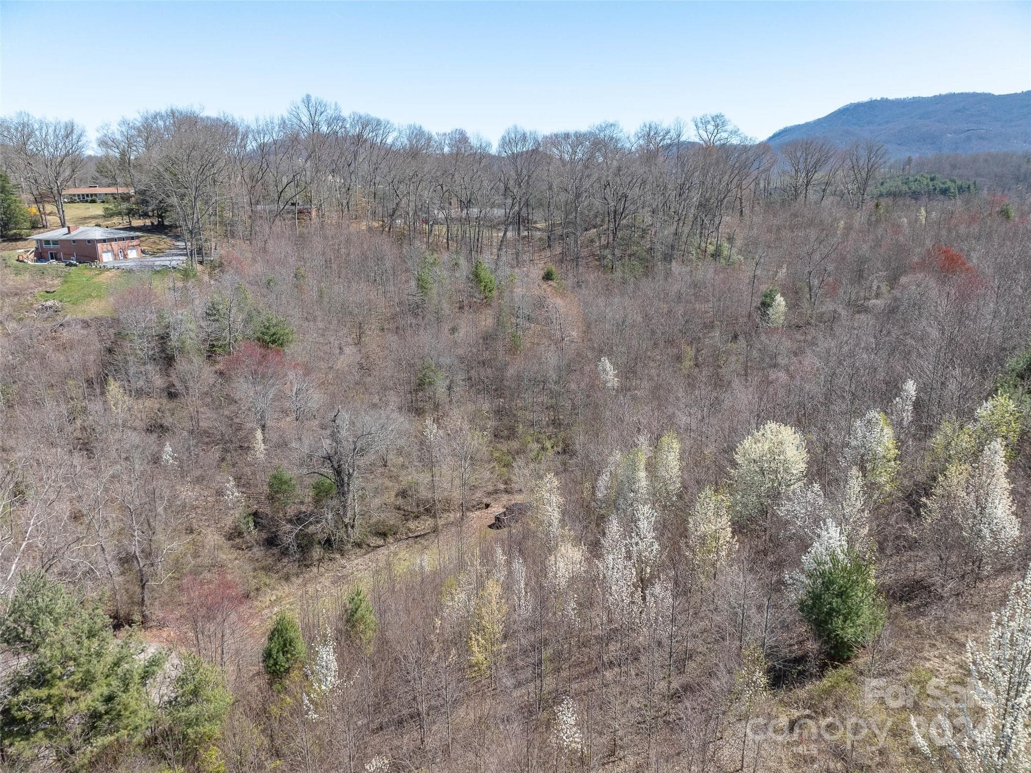 Acreage at Waynesville, photo 19 of 19