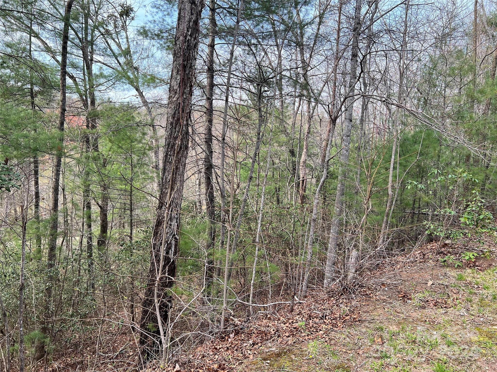 Lot at 3114 Mountain Laurel Drive, Lenoir, photo 3 of 5