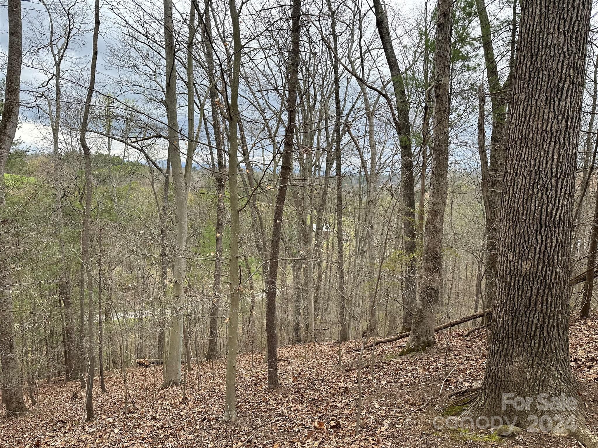 Lot at 000 Fletcher Martin Road, Alexander, photo 14 of 35