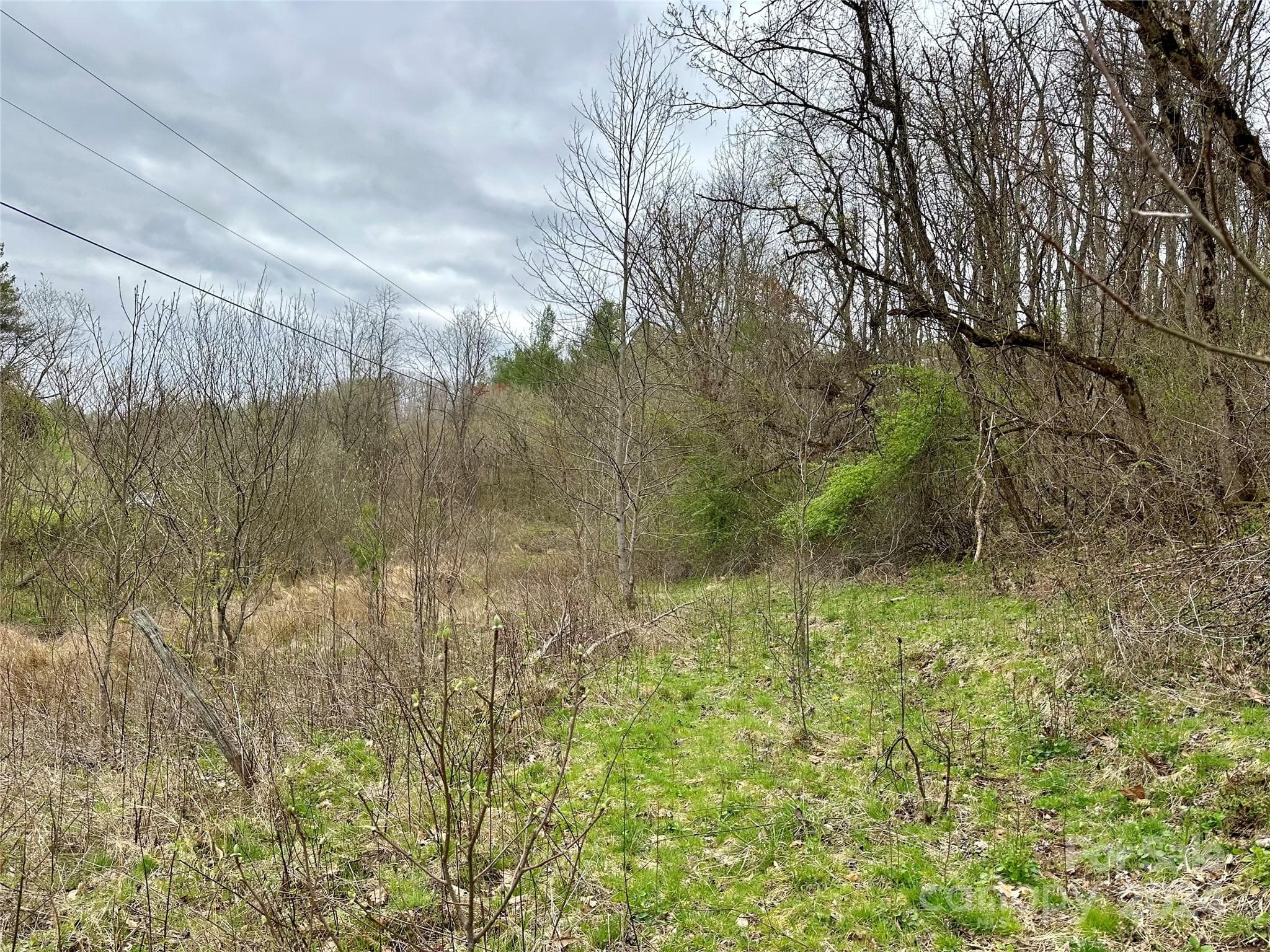 Lot at 000 Fletcher Martin Road, Alexander, photo 31 of 35