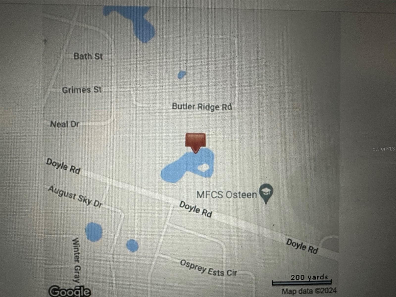 Land at DOYLE RD, OSTEEN, photo 4 of 4