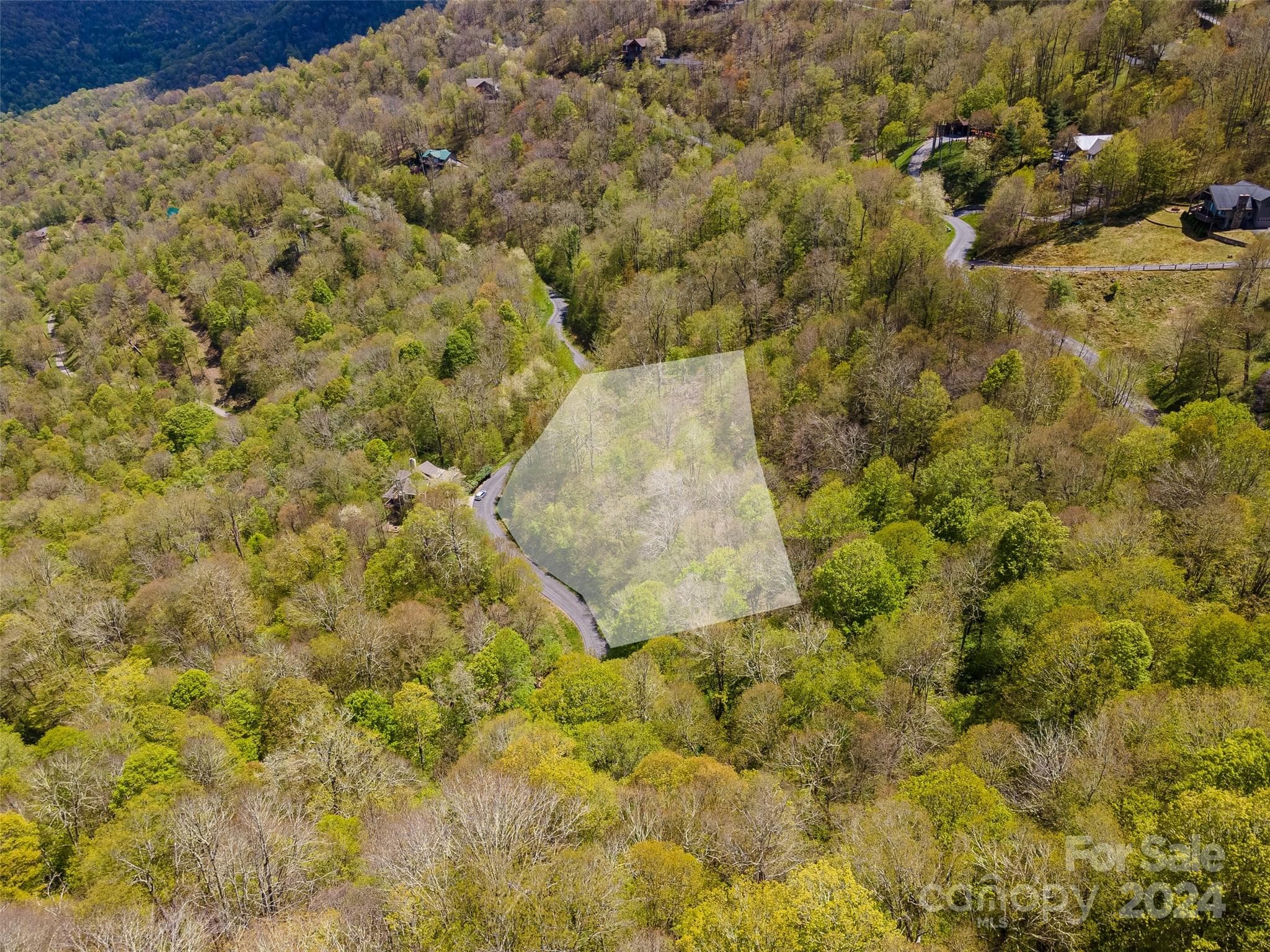 Lot at Mars Hill, photo 4 of 22