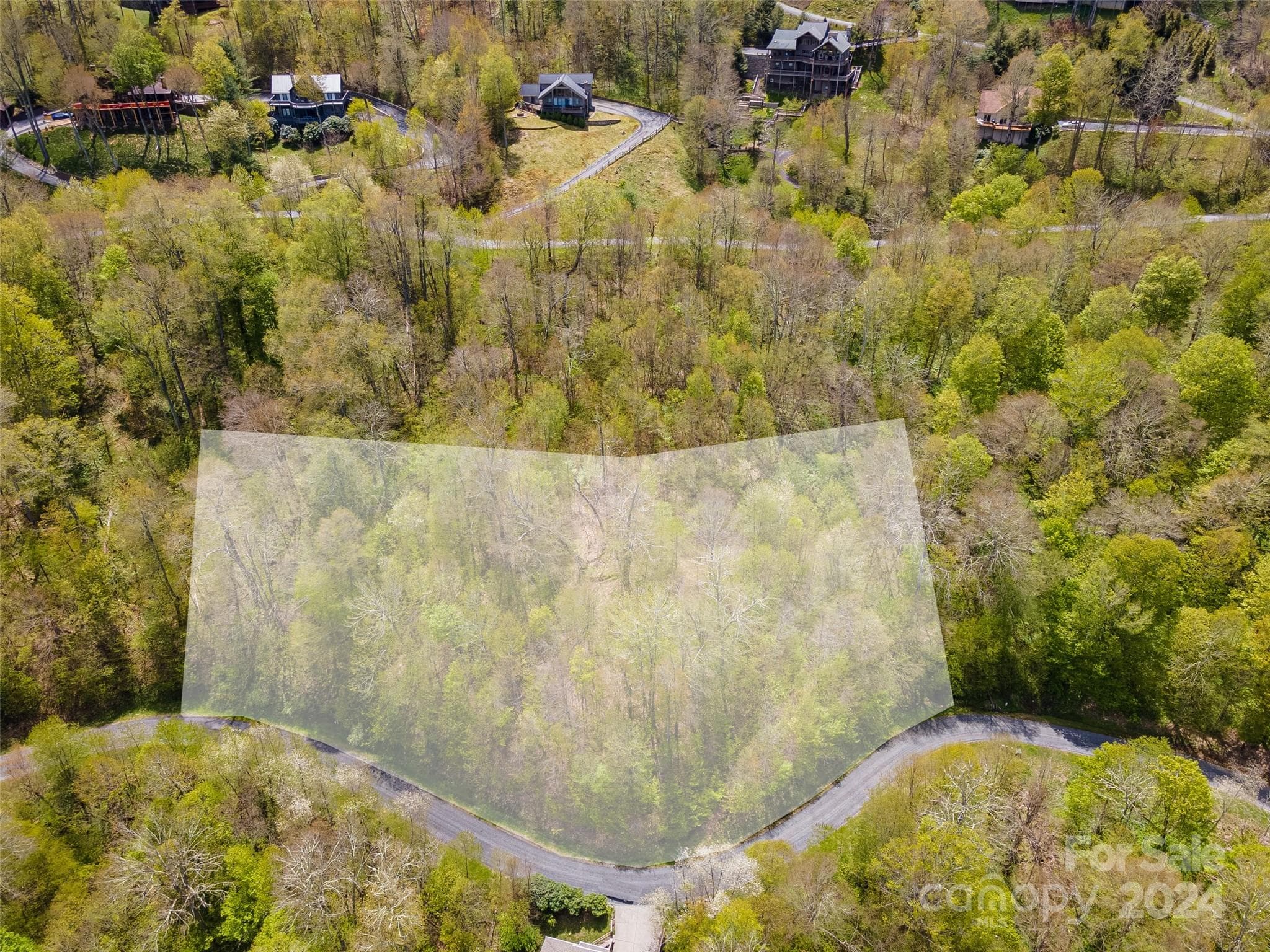 Lot at Mars Hill, photo 6 of 22