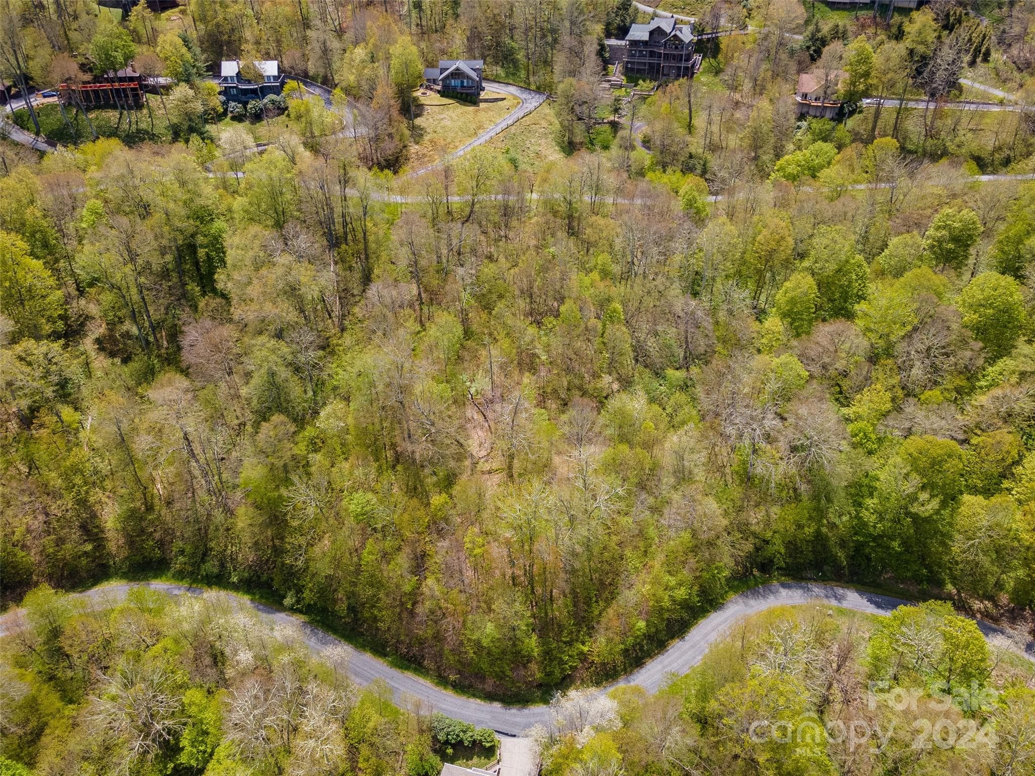 Lot at Mars Hill, photo 18 of 22