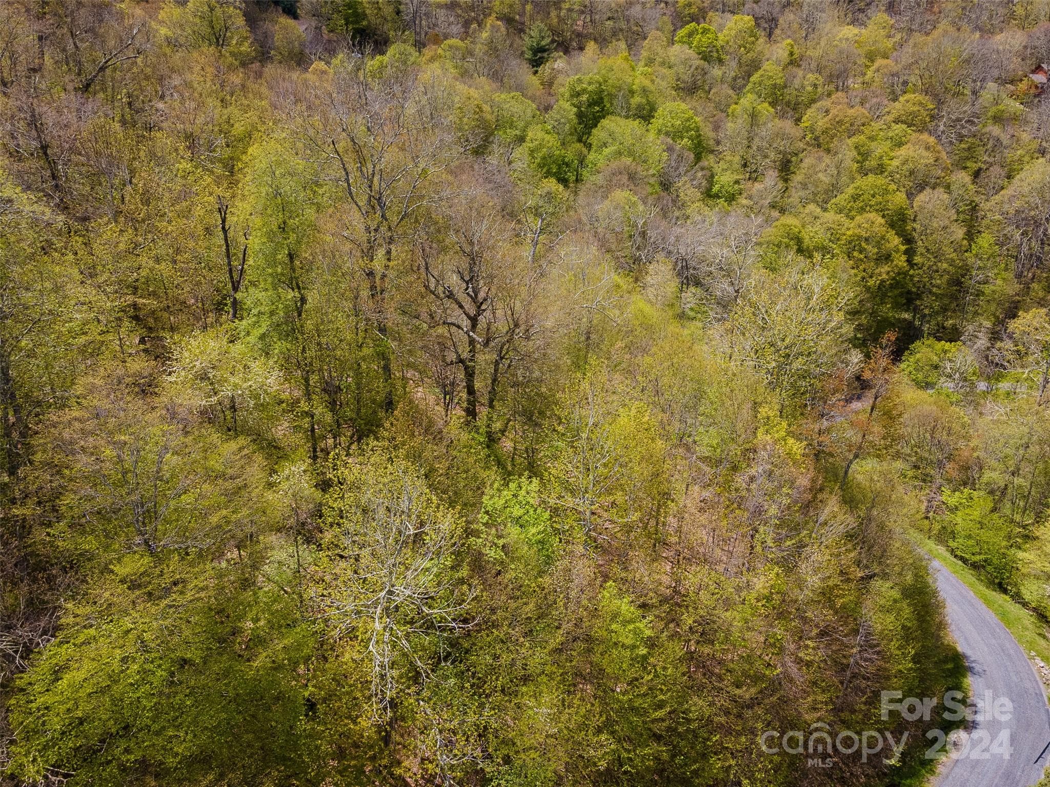 Lot at Mars Hill, photo 20 of 22