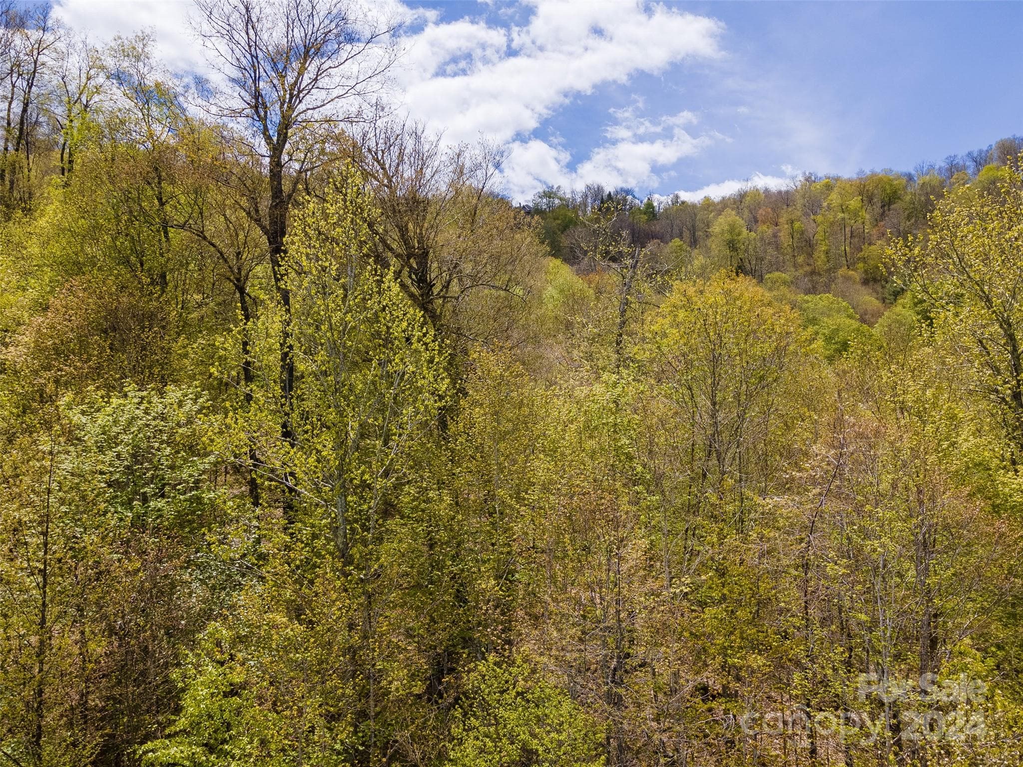 Lot at Mars Hill, photo 21 of 22