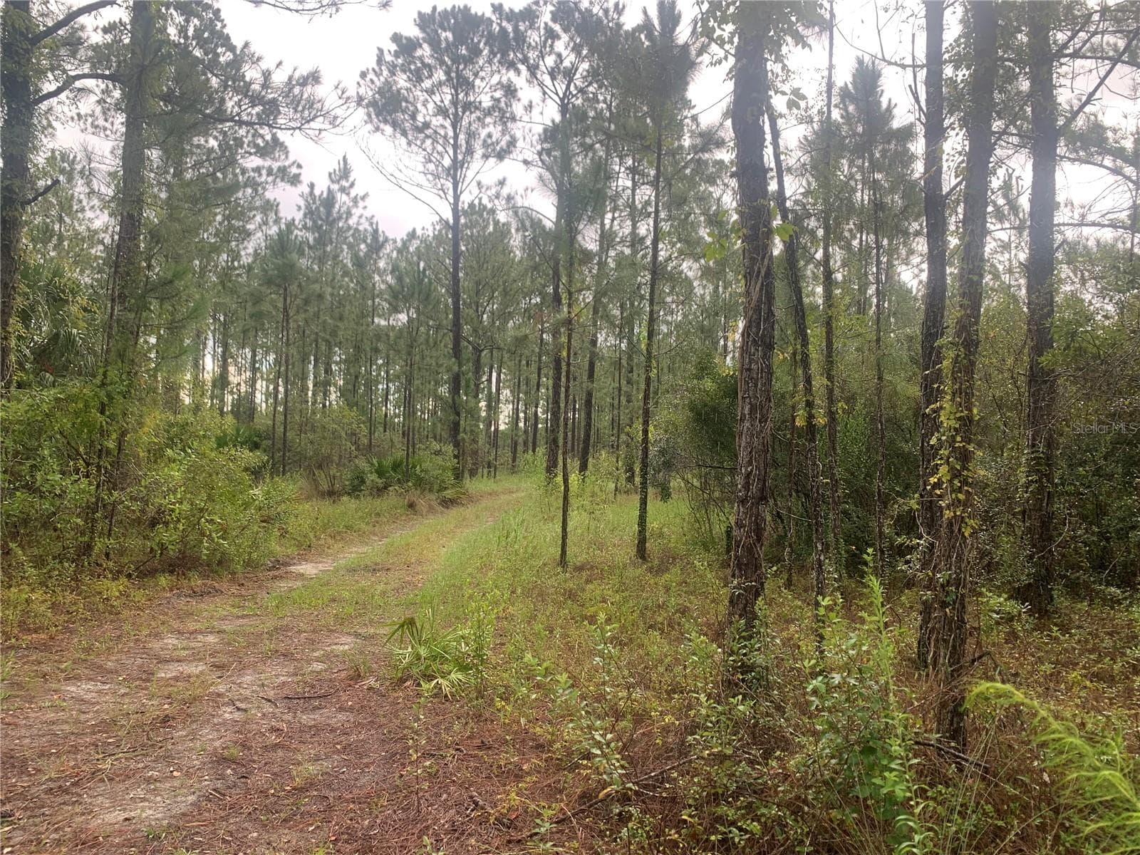Lot View - TBD OTTER DR #LOT 44, WEBSTER